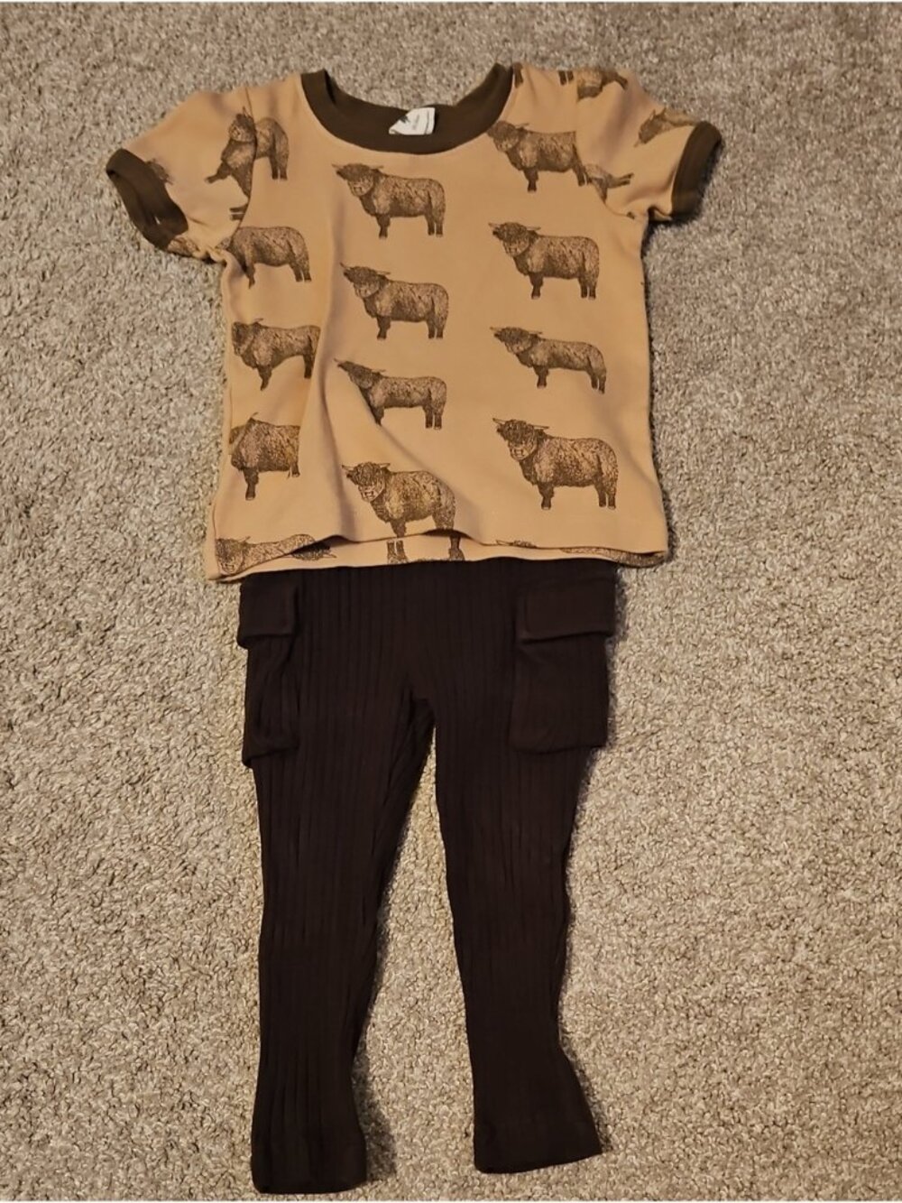 Kate Quinn Highland Cow Shirt Wide Rib Pants Set 18-24M